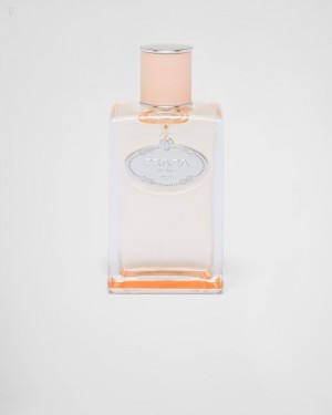 Prada Infusion De Fleur D'oranger Edp 100ml Fragrances | KHLU4522