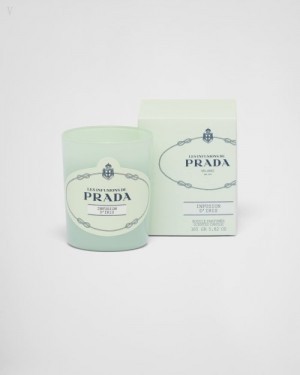 Prada Infusion D'iris Candle Fragrances | JVYK3505