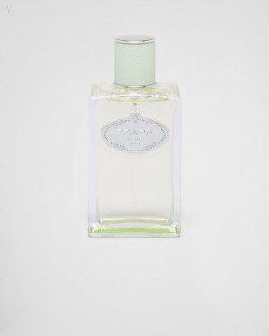 Prada Infusion D'iris Edp 100ml Fragrances | EWGG0144