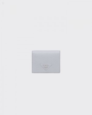 Prada Small Cuero Wallet Azules | AQEW1617