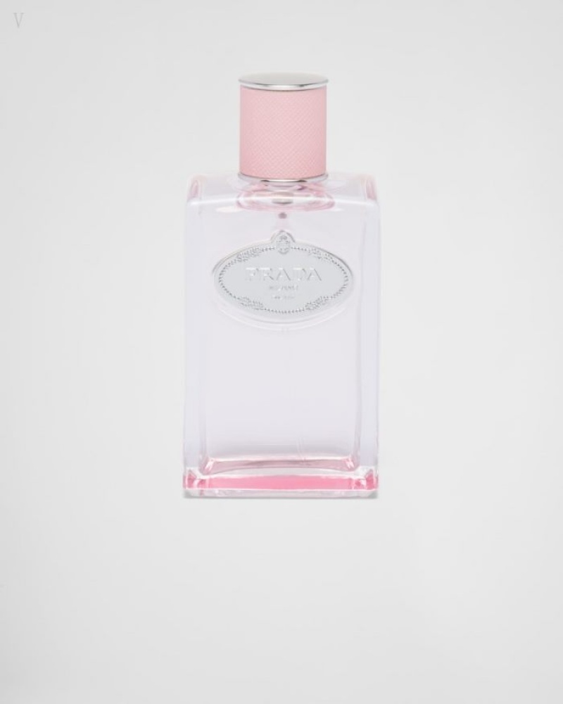 Prada Infusion De Rose Edp 100ml Fragrances | TAMO1106